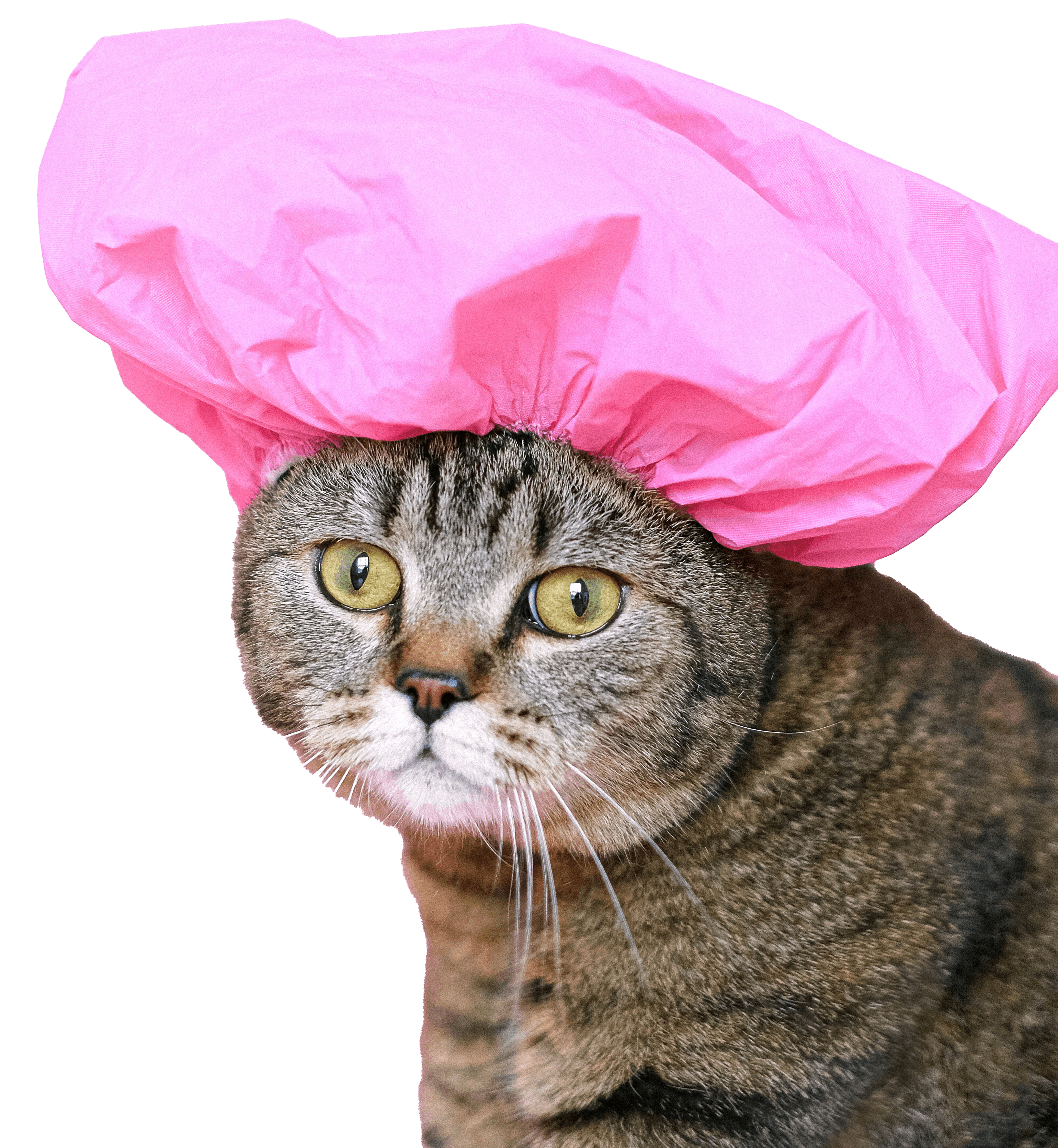 Keine Produkte gefunden